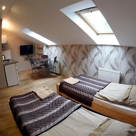 公寓 索科尔酒店 拉齐布日